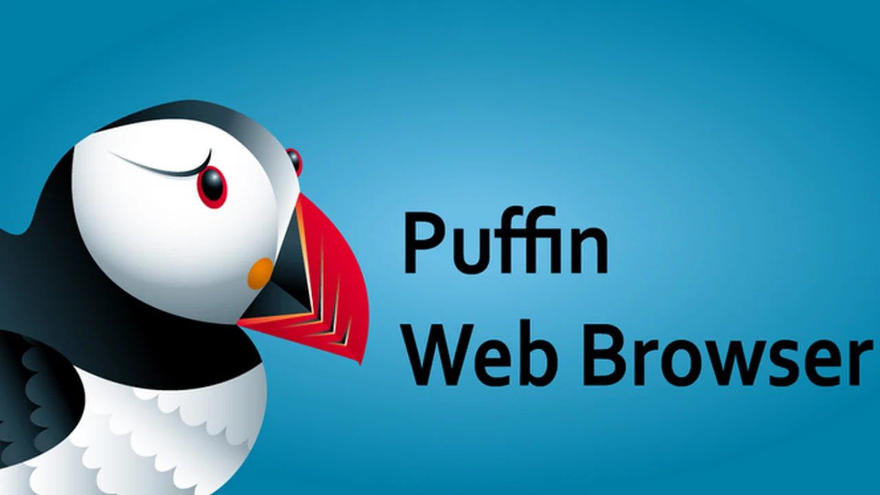 Puffin Browser Pro v9.7.0.51211 APK + MOD (Premium Unlocked)