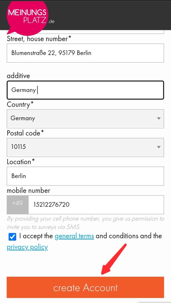 Meinungsplatz Survey review 