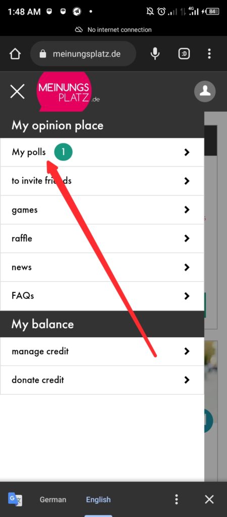 German paying survey, Meinungsplatz Survey 