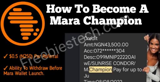 Mara Champion – Become A Champion On Mara & Withdraw Weekly